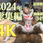 tsumayoji研究所 2024年 総集編 ［4K version］(tsumayoji研究所) [d_505865]