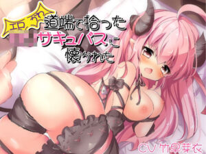 道端で拾ったエロかわ○リサキュバスに懐かれた(オトメイチック) [d_506077]