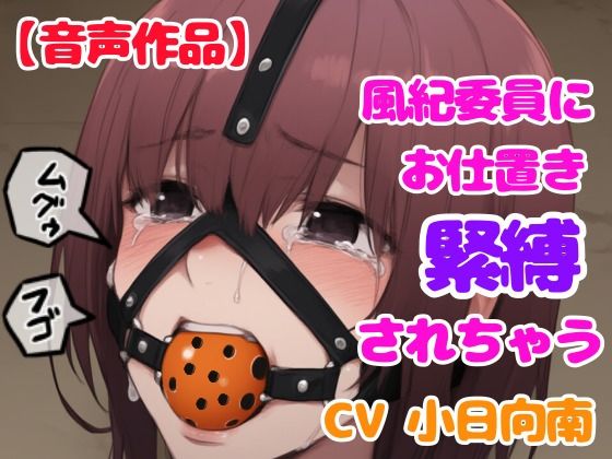 風紀委員にギチギチに縛られて猿轡をハメられちゃう(ぷよのDID倉庫) [d_507994]