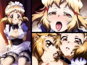 【戦姫絶〇シンフォギア】性処理メイド  立〇響(ヘルシンキ) [d_508126]