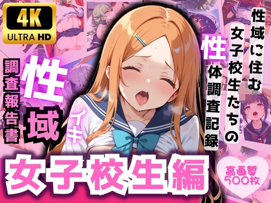 性域調査報告書 女子校生編(てぃーえむ) [d_509828]