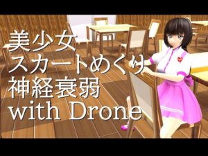 美少女スカートめくり神経衰弱 with Drone(小乃枝電網) [d_515088]