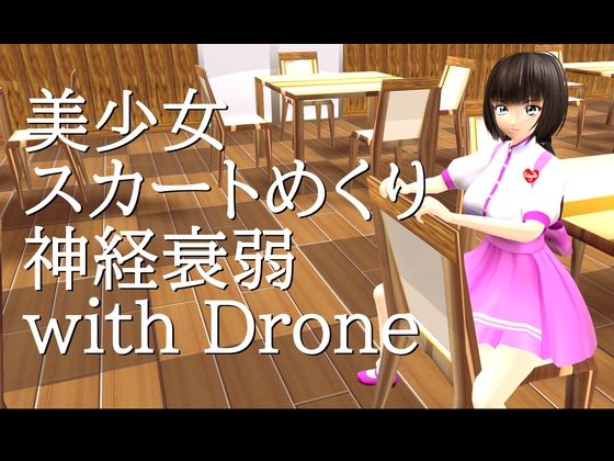 美少女スカートめくり神経衰弱 with Drone(小乃枝電網) [d_515088]