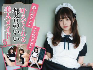 あんなこと、こんなこと、叶えてくれる都合のいい美人メイド5(AIドルオフィス) [d_508255]