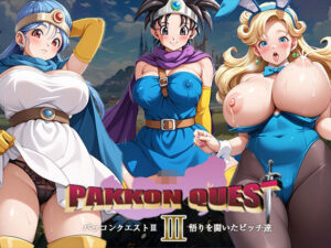 パッコンクエストIII〜悟りを開いたビッチ達〜(AVA) [d_508986]