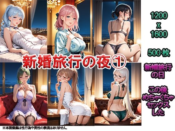 新婚旅行の夜 1 〜このあとめちゃくちゃセックスした〜(ニッチッチ) [d_510247]