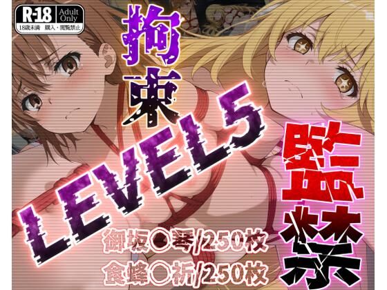 監禁拘束LEVEL5【フルカラー500枚】(ガーネット) [d_512999]