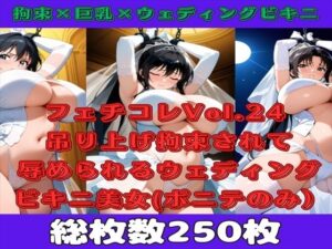 【微エロ】フェチコレVol.24吊り上げ拘束されて辱められるウェディングビキニの人妻（黒髪ポニテのみ）【総枚数250枚】(満点星) [d_513891]