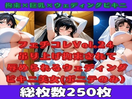 【微エロ】フェチコレVol.24吊り上げ拘束されて辱められるウェディングビキニの人妻（黒髪ポニテのみ）【総枚数250枚】(満点星) [d_513891]