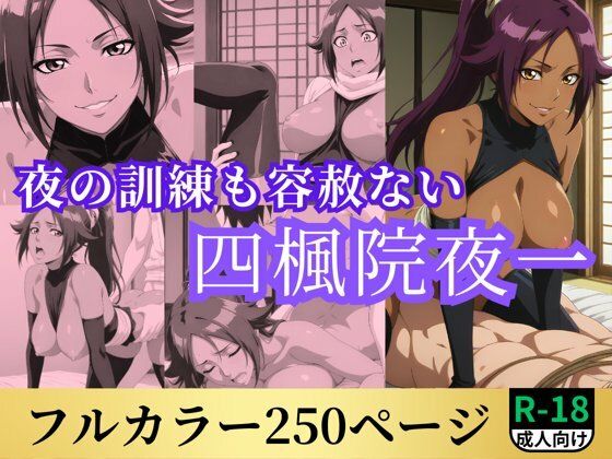 夜の訓練も容赦ない四楓院夜一(鈴花アート) [d_520000]