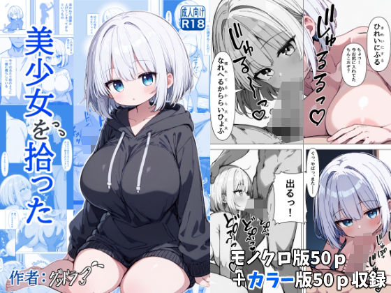 美少女を拾った(グッドラブ) [d_520555]