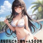 黒髪ビキニ娘ちゃん1〜500(エリシャのアトリエ) [d_522016]