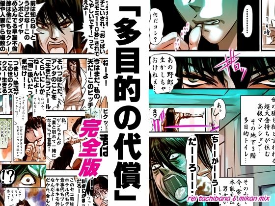 完全版 多目的の代償(みかんミックス) [d_522641]