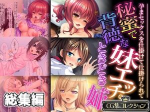 秘蜜で背徳な妹エッチ。ときどき姉 〜孕まセックスを仕掛けて仕掛けられて〜【CG集コレクション】(どろっぷす！) [d_524128]