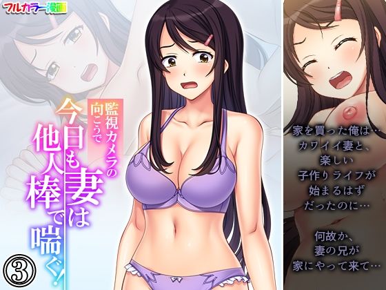 監視カメラの向こうで今日も妻は他人棒で喘ぐ！ 3巻(あまからや) [d_529119]
