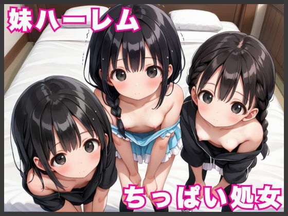 妹ハーレム！〜ちっぱい処女に初めての全開ドピュドピュ中出しセックス〜(むちむち餃子) [d_531100]