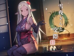 雪夜さんと交際 〜ダークエルフ忍さんといちゃラブご奉仕生活〜(めがみそふと) [d_532035]