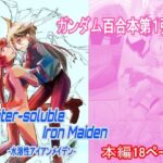 Water-soluble Iron Maiden 〜水溶性アイアンメイデン〜(九州電脳保安協会) [d_537281]