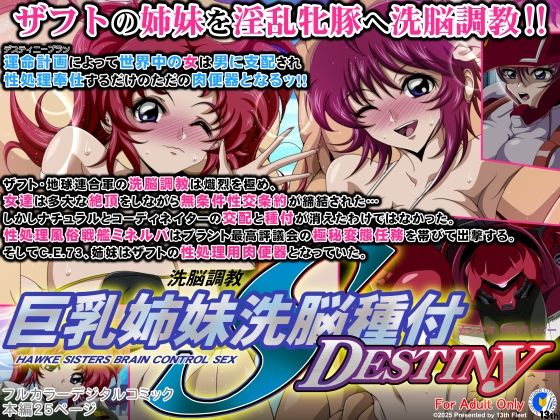 巨乳姉妹洗脳種付DESTINY(第13艦隊) [d_516993]