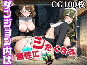 ダンジョン内では無性にしたくなる（CG100枚）(ふぇちずむ) [d_525006]