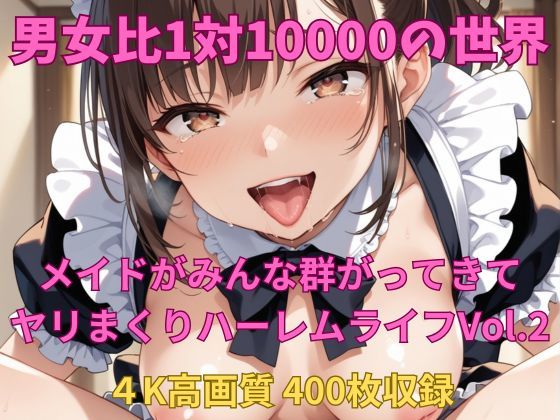 男女比1対10000の世界 メイド達とセックスし放題でちんぽが乾く暇もないヤリ放題ハーレムライフ！！Vol.2(TailorFetiAI-Pix) [d_527378]