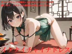 イケナイチャイナドレス(たこやき) [d_532921]