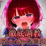 推し〇子 有馬か〇 拉致られ監禁・自宅監禁中出し孕ませ＆快楽堕ちエロアイドルデビュー！(あにきゃらMIX) [d_535322]