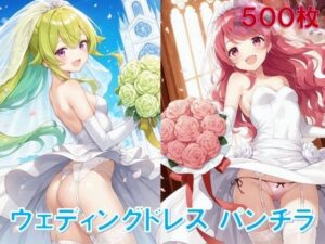 ウェディングドレスでパンチラ(D.P.H.) [d_540323]