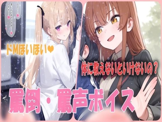 【罵倒・罵声ボイス】ドM参照？女の子からひたすらに暴言と鞭打ちされる(あい  SMサークル) [d_540979]