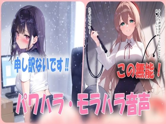 鞭打ちパワハラ！？無能社員を厳しく再教育する！罵詈雑言シチュエーションボイス(あい  SMサークル) [d_540985]