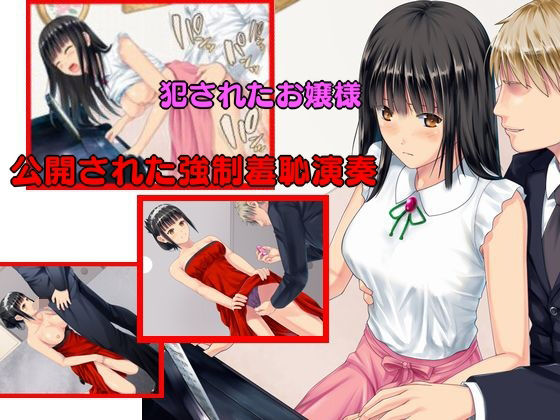 犯●れたお嬢様  公開された強●羞恥演奏(prizm) [d_543250]