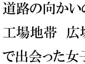 道路の向かいの工場地帯  広場で出会った女子と次の日の夕方まで・・・・(逢瀬のひび) [d_546362]