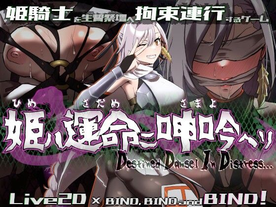 姫ハ運命ニ呻吟ヘリ Destined Damsel In Distress(エーギグ・エーレ・ファウンデーション) [d_555367]