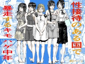 性接待のある国で暴走するキモはげ中年(200P書いたらちゃんと考える) [d_556224]