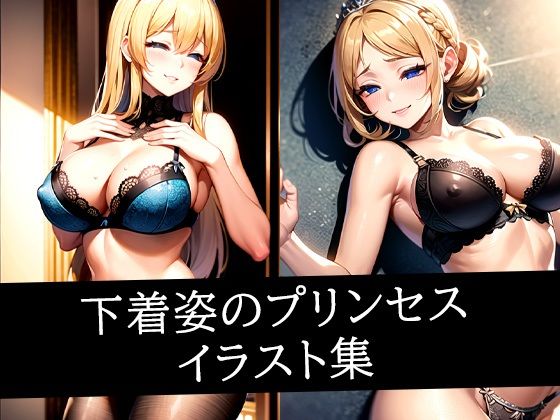 下着姿のプリンセスイラスト集(ぽっけぽけ) [d_510163]