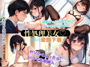 美女に変態な下着を付けさせてエロプレイ(アニメ好きもぐもぐ) [d_535339]