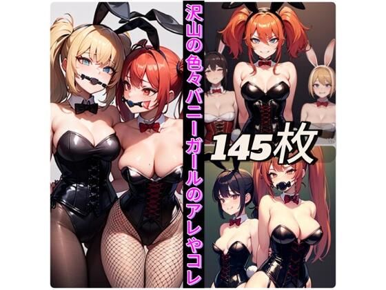 沢山の色々バニーガールのアレやコレ(rweb324) [d_540819]