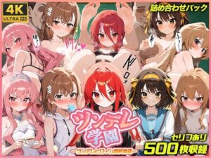 ツンデレ学園  ツンデレヒロイン調教物語(スーパーキッカーナッツくん) [d_545057]