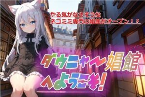 ダウニャー娼館へようこそ！(百円本舗) [d_547670]