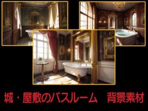 城・屋敷のバスルーム  背景素材(豊川内角) [d_547685]