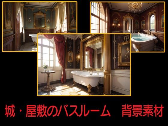 城・屋敷のバスルーム  背景素材(豊川内角) [d_547685]