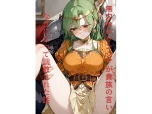 無力なエリンシアが貴族の言いなりになって調教された話(ぺろろんぺぺろん) [d_552858]