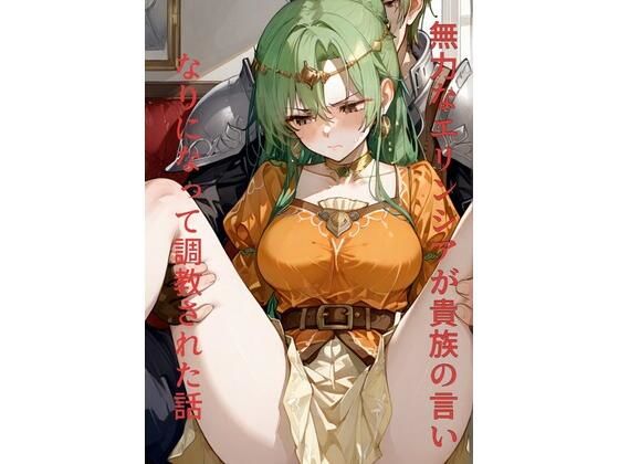 無力なエリンシアが貴族の言いなりになって調教された話(ぺろろんぺぺろん) [d_552858]