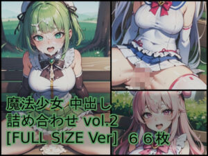 魔法少女 中出し 詰め合わせ vol.2 ［FULL SIZE Ver］(Crimson AI) [d_555607]