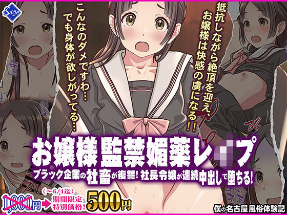 お嬢様監禁媚薬レ●プ-ブラック企業の社畜が復讐！社長令嬢が連続中出しで堕ちる！-(Sage) [d_556416]
