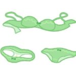 JKの使用済みブラ・パンツ・ソックスで生活する小人の話(靴下フェチ) [d_557207]