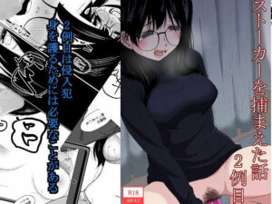 ストーカーを捕まえた話  2例目(もき屋) [d_558228]