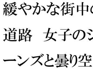 緩やかな街中の道路  女子のジーンズと曇り空に混じって暗くなってきた夜(逢瀬のひび) [d_560736]