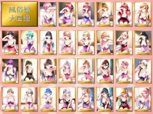 風俗嬢大図鑑(みくるすたじお) [d_561043]