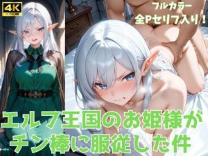 エルフ王国のお姫様がチン棒に服従した件【全Pセリフあり】(種付け転生マン) [d_561862]